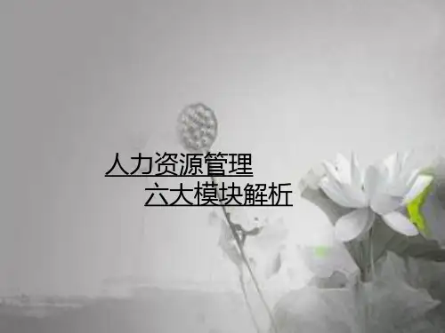 人力资源管理六大模块解析-PPT