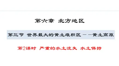 《严重的水土流失 水土保持》PPT课件【完整版】
