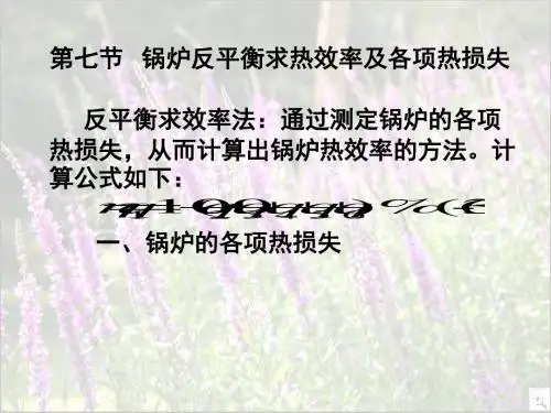 锅炉反平衡求热效率及各项热损失23页PPT