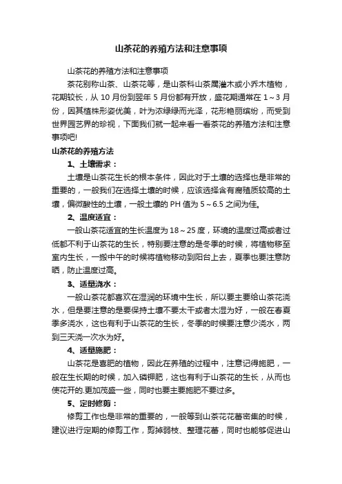 山茶花的养殖方法和注意事项