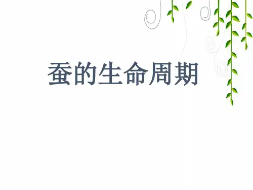 教科版科学三年级下册《蚕的生命周期》探究课件