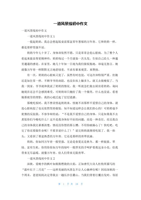 一道风景线初中作文