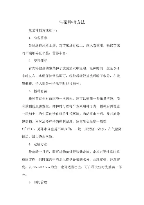 生菜种植方法