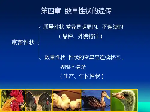 家畜遗传育种：4数量性状的遗传(精简)