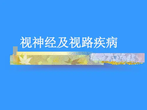 视神经及视路疾病