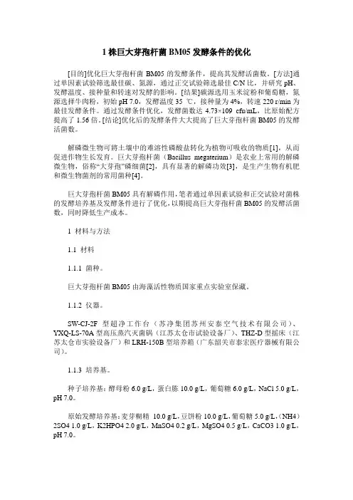 1株巨大芽孢杆菌BM05发酵条件的优化