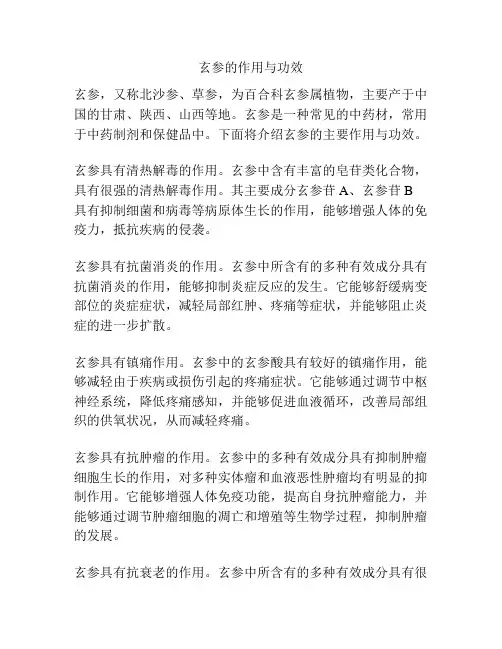 玄参的作用与功效