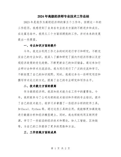 2024年高级经济师专业技术工作总结