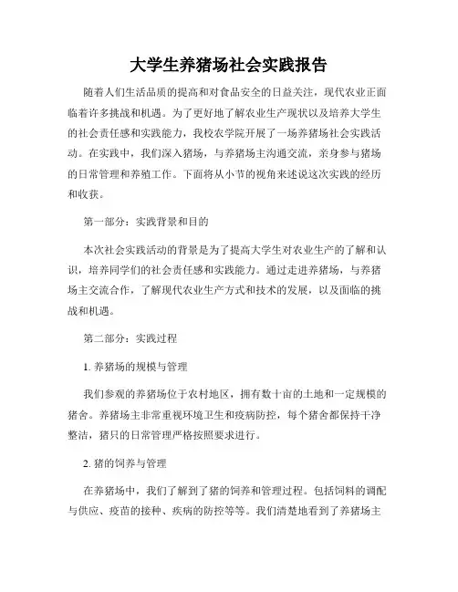 大学生养猪场社会实践报告