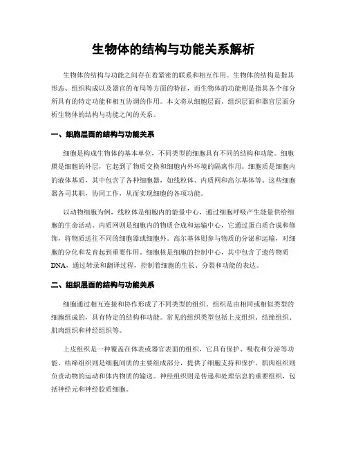 生物体的结构与功能关系解析