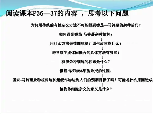 植物体细胞杂交技术为什么番茄马铃薯