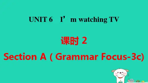 七年级英语下册Unit6课时2SectionAGrammarFocus_3c课件pptx人教新目标版