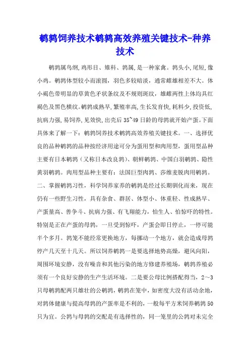鹌鹑饲养技术 鹌鹑高效养殖关键技术 - 种养技术