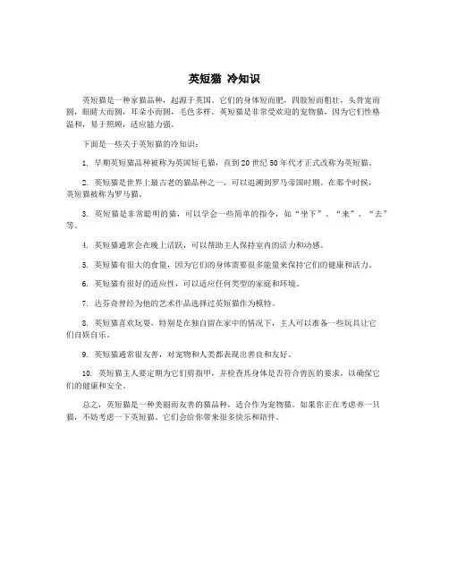 英短猫 冷知识