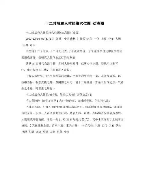 十二时辰和人体经络穴位图 动态图