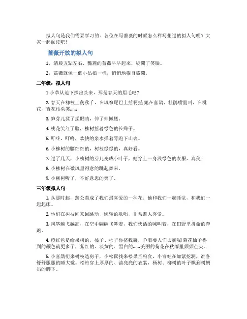蔷薇开放的拟人句