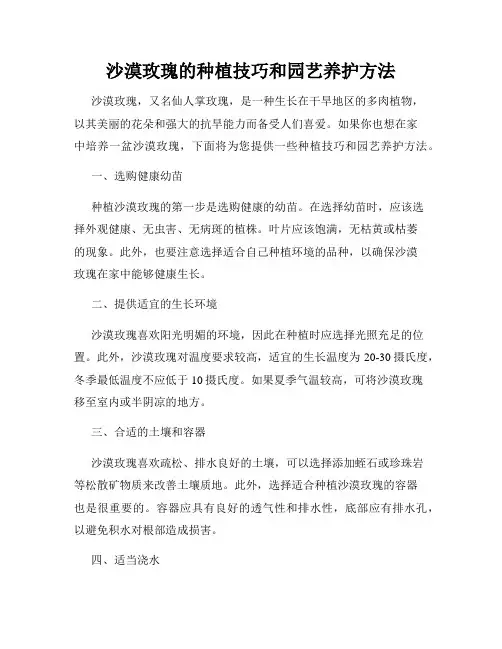 沙漠玫瑰的种植技巧和园艺养护方法