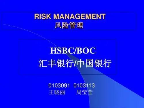 汇丰风险管理案例-