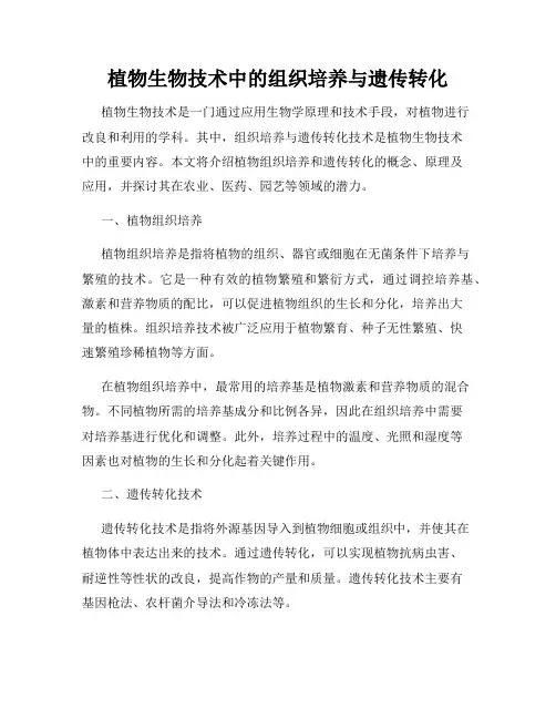 植物生物技术中的组织培养与遗传转化