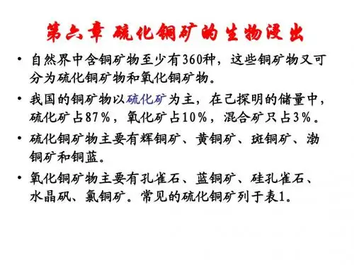 生物选矿技术第六章