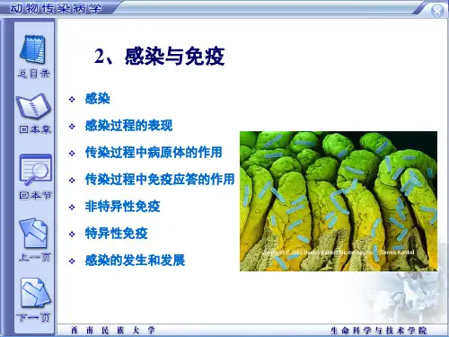 2.感染与免疫