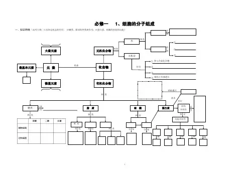 高中生物知识网络构建_图文