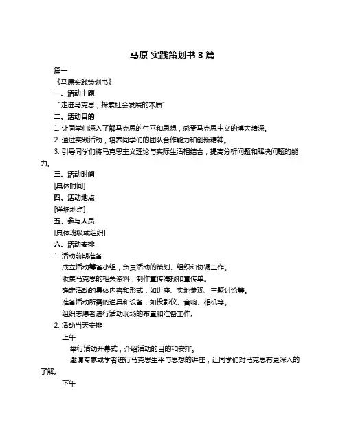 马原 实践策划书3篇