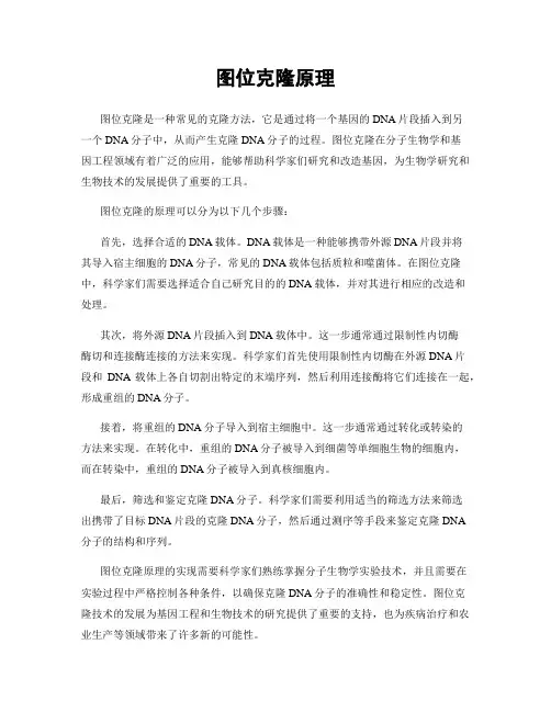 图位克隆原理