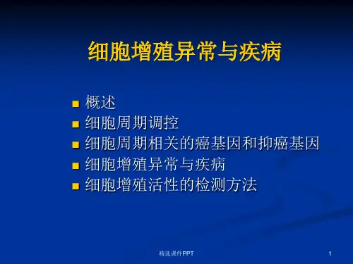 细胞周期PPT课件
