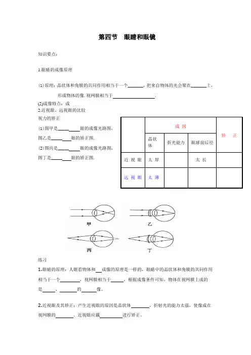 透镜的成像规律眼睛和眼镜知识点和习题