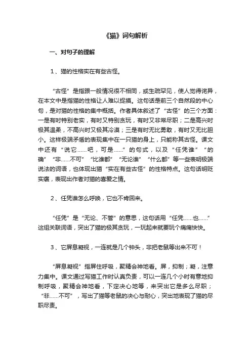 《猫》词句解析