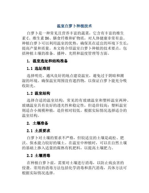 温室白萝卜种植技术