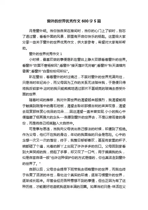 窗外的世界优秀作文600字5篇