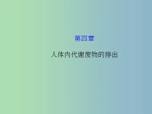七年级生物下册 第五章 人体内代谢废物的排出 新人教版