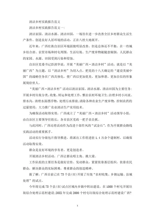 清洁乡村实践报告(最新)