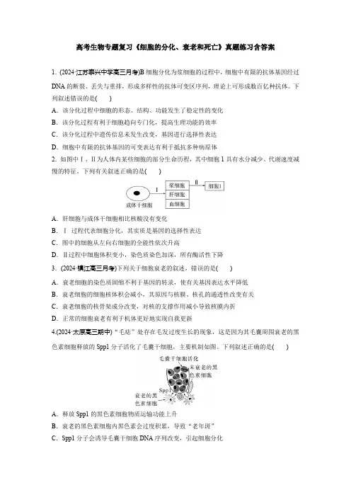 高考生物专题复习《细胞的分化、衰老和死亡》真题练习含答案