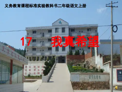 《我真希望》语文S版二级上册汇编