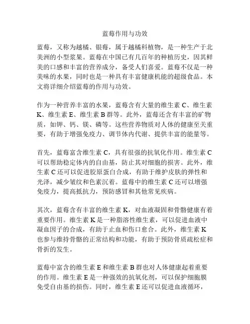 蓝莓作用与功效