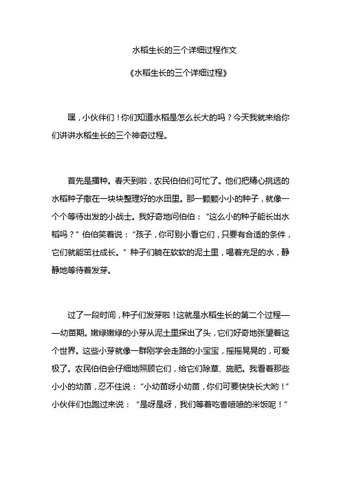 水稻生长的三个详细过程作文