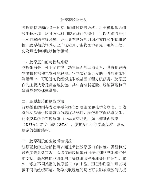 胶原凝胶培养法