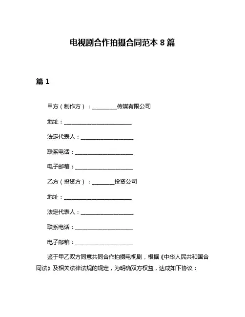 电视剧合作拍摄合同范本8篇
