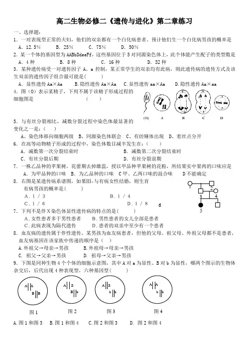 高二生物必修二遗传与进化练习