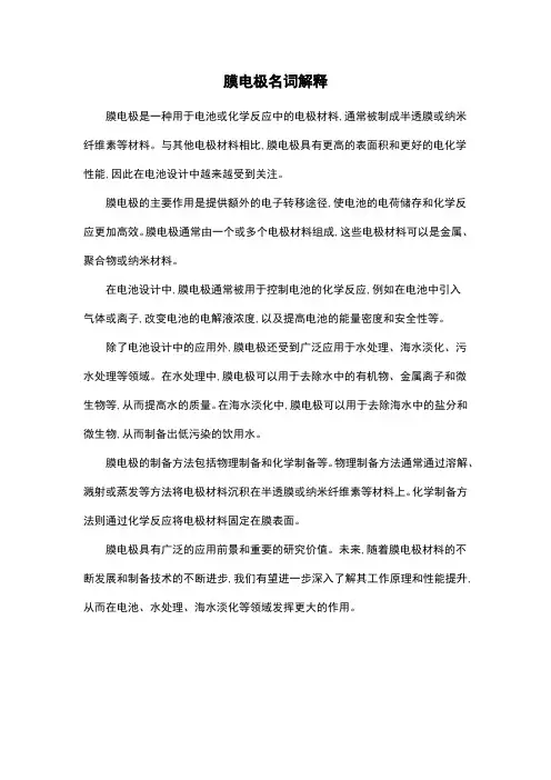 膜电极名词解释