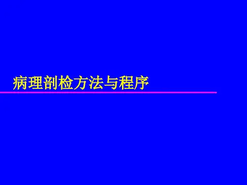 病理剖检方法与程序