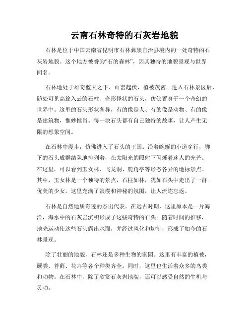 云南石林奇特的石灰岩地貌