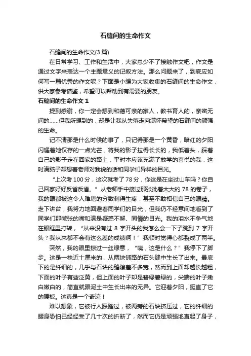 石缝间的生命作文（3篇）