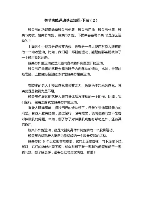 关节功能运动基础知识-下肢（2）