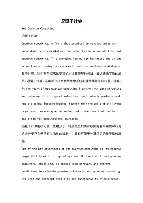 湿量子计算