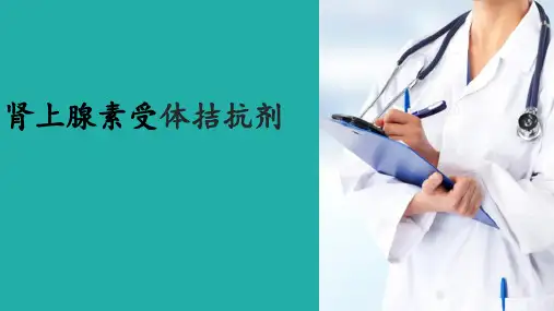肾上腺素能药物—肾上腺素能受体拮抗剂(药物化学课件)