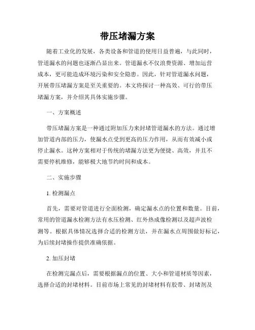 带压堵漏方案